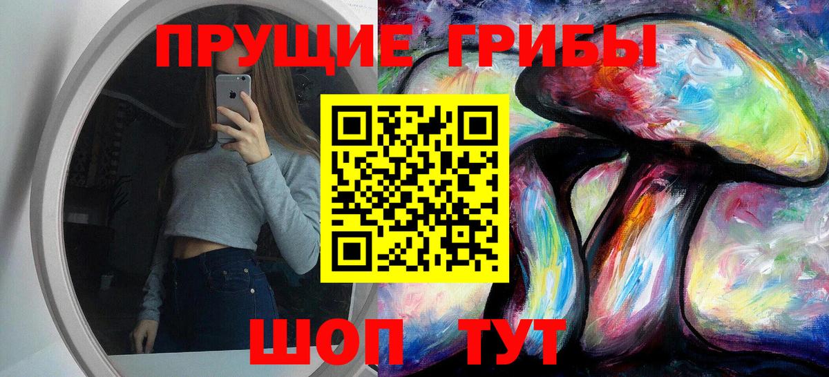 Псилоцибиновые грибы Psilocybine cubensis  Псилоцибиновые грибы ЛСД  Вход с VPN  Ефремов 