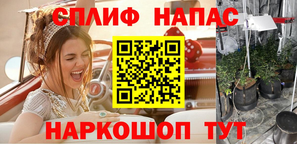 Конопля VHQ  Бошки Шишки ГИДРОПОН  Вход с VPN  Ефремов 